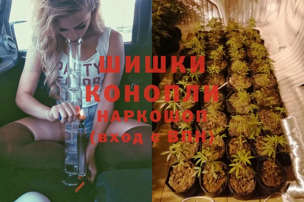 PSILOCYBIN Беломорск